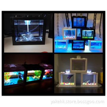 fish tank